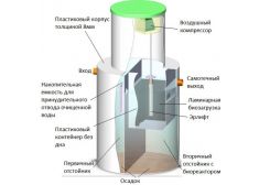 Панда Кинг 8